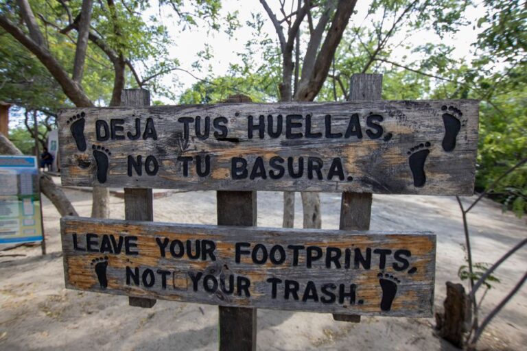 Descubre los Destinos Más Sostenibles para tus Próximas Aventuras