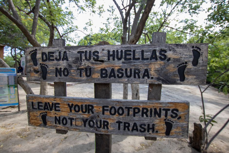 Descubre los Destinos Más Sostenibles para tus Próximas Aventuras